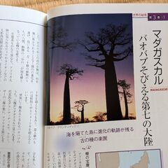 値下げしました。昭和レトロ　ビデオ(世界の秘境)の画像