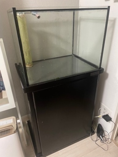 マーフィード　６０センチワイド　水槽