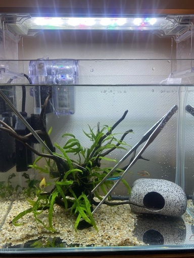 ADAキューブガーデンW300×D180×H240 水槽本体 (N) 祐天寺の洗濯用品