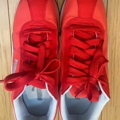 PUMAプーマスニーカー レディース24.5㎝