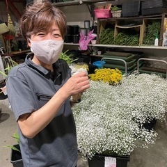 急募‼️【事務員さん&生花スタッフさん大大大募集】の画像