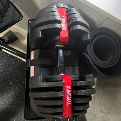 可変式ダンベル
の画像