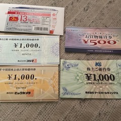 家電量販店優待券　22000円分