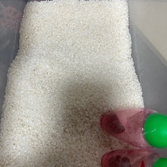 お米 恐らく5キロほど