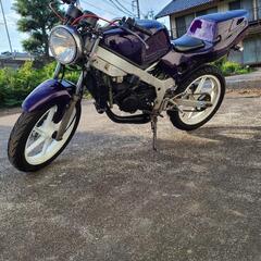 HONDA NS1の画像