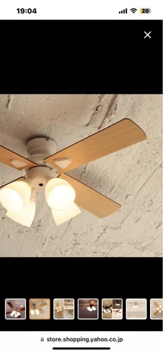 照明　ファン付き