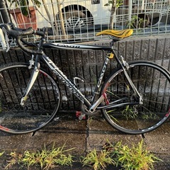キャノンデールcaad8