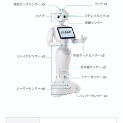 【〜1月3日まで、年末年始価格】AIロボットpepperペッパーくん 人型ロボット Pepper（ペッパー） | ソフトバンクロボティクス