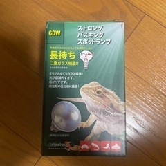 60w  バスキングライト