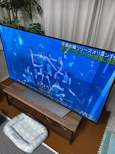55型テレビ、リモコンあり