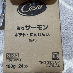 ドッグフード彩りサーモンポテト人参入り100g✖️24個の画像