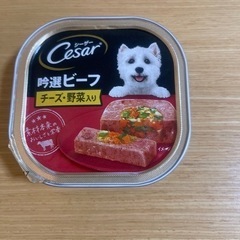 ドッグフード彩りサーモンポテト人参入り100g✖️24個