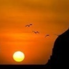 【体験クラス無料】オンラインonline　クルアーン(イスラム教の聖典)クラス　Quran classの画像