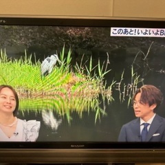 SHARP 液晶テレビ　32型