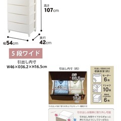 衣装ケース❤️28日取りに来れる方❤️の画像