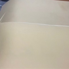 トゥルースリーパー　セミダブル