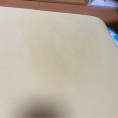 トゥルースリーパー　セミダブル