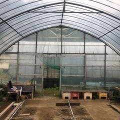 ビニールハウスの骨組みの販売 日付限定1️⃣