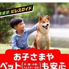 最強蚊取り線香の画像