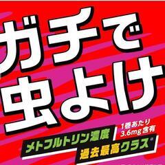 最強蚊取り線香の画像