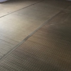 六畳用ゴザマットの画像
