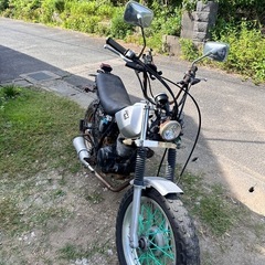 YAMAHA tw200
