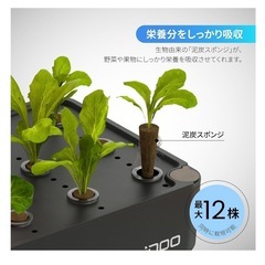 iDOO 水耕栽培キットの画像