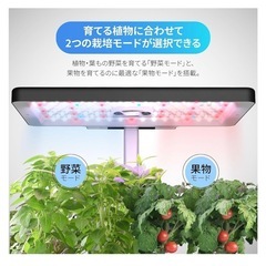 iDOO 水耕栽培キットの画像