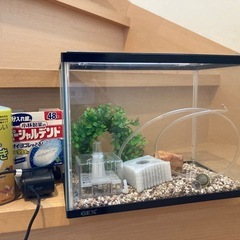 【無料】観賞魚の飼育セット（水槽、ポンプなど）