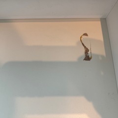 IKEA MICKE デスク（中古）　　の画像