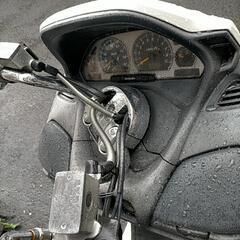 （14日受け渡し予定有り）スカイウェイブ250の画像