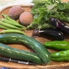 無農薬野菜セットＤ
