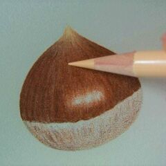 親子で楽しむ色えんぴつアート教室の画像