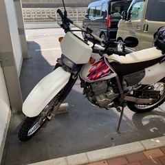 期間限定出品　ホンダ　バイク本体　XR250 MD30 　  　の画像