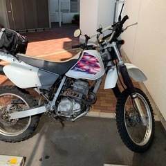 期間限定出品　ホンダ　バイク本体　XR250 MD30 　  　の画像