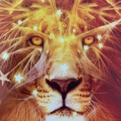 占い師デビュー記念　無料で占い相談大募集！