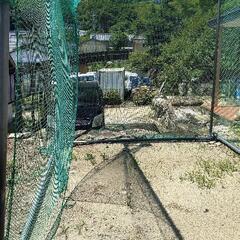 野球やサッカーの練習などに！夜間の為の照明付き！の画像