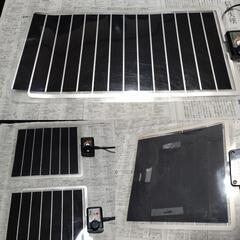 爬虫類飼育セット　手渡し限定　バラ売り不可の画像