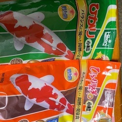 受け渡し決定   錦鯉の餌