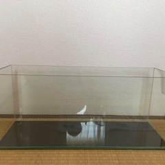 60cmスリム水槽の画像
