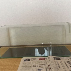 60cmスリム水槽の画像