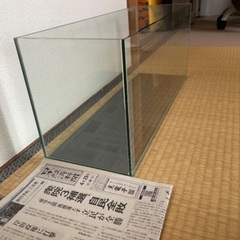 60cmスリム水槽