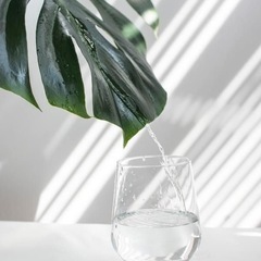 体の不調、腸活アドバイザーに相談してみませんか？