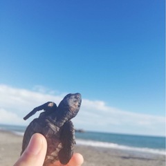 日常の買い物からお出かけまで一緒に楽しめる友達募集