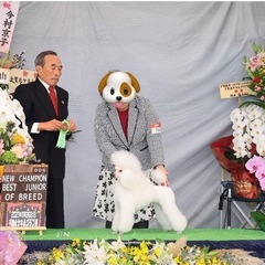 【千葉県東金】トリミング教室・個別指導 10月開講の画像