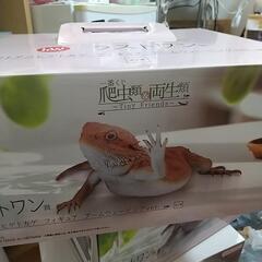 爬虫類  一番くじ  ラストワン賞