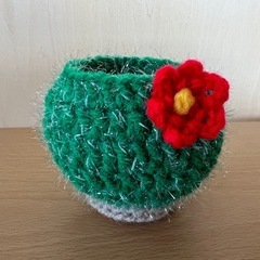 ハンドメイド サボテン 小物入れの画像