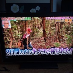 SONY  40インチ　テレビ