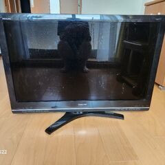 テレビ