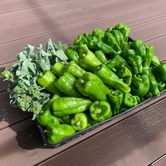 野菜バラエティーセット🥦🍆✨一時販売停止中🙇‍♂️の画像